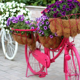 Zoom sur le vélo fleuri en 5 idées