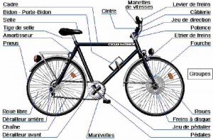 Anatomie du vélo